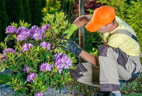 Volunteer showing a gardening technique with captioned video controls visible