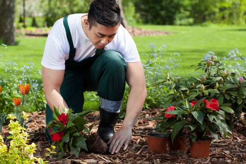 Personal protective equipment laid out for a gardening job