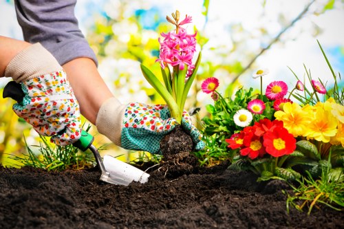 Investigator inspecting a garden to assess a complaint