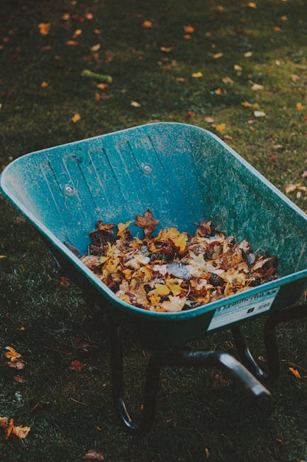 A blue plastic wheelbarrow filled with a mixture of fallen autumn leaves in shades of brown, yellow, and orange, situated on a patch of dark, slightly damp grass. The background shows more grass with