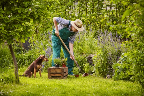 Lush Southwark garden showcasing expert landscaping