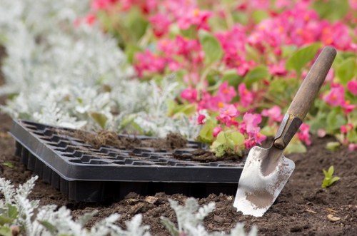 Professional Southwark gardener pruning plants